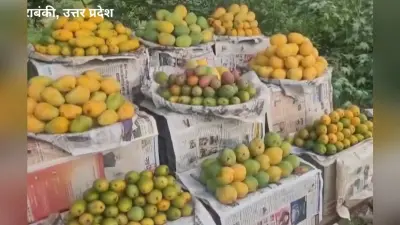 नेपाल ने बंद किया भारत से आम का रास्ता, UP के किसानों की जेब पर पड़ेगी सीधी चोट
