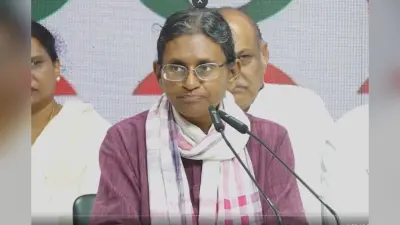 राज्यसभा चुनाव : नटराजन के नामांकन को चुनौती देने के लिए बीजेपी को कैसे मिले दस्तावेज?