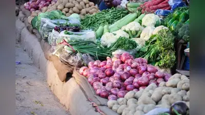Darbhanga Mandi Bhav: शिवधारा बाजार समिति में गेहूं और धान के नए थोक भाव लॉक, यहाँ देखें रविवार की पूरी रेट लिस्ट