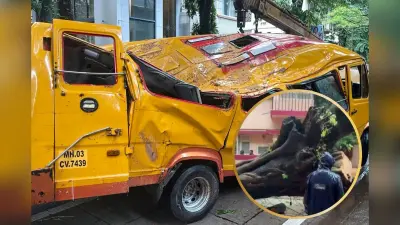मुंबई में दर्दनाक हादसा: स्कूल बस पर अचानक गिरा पेड़, एक छात्र की मौत