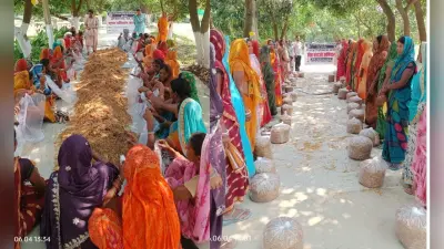 दरभंगा: जाले में मशरूम उत्पादन का प्रशिक्षण, डॉ. दिव्यांशु ने कहा- मशरूम मुनाफे और तंदुरुस्ती का नया सुपरफूड