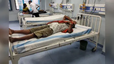 नालंदा में अज्ञात वाहन ने घर लौट रहे युवक को मारी टक्कर, सदर अस्पताल में भर्ती, हालत गंभीर