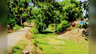बक्सर में रोहिणी नक्षत्र बीता, फिर भी चौसा सीवीसी कैनाल में पानी नहीं, किसानों की बढ़ी चिंता
