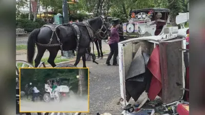 न्यूयॉर्क में 18 वर्षीय भारतीय युवक की दर्दनाक मौत, मां को बचाने के लिए चलती बग्घी से कूद पड़ा