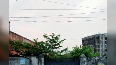 पूर्णिया में घर से निकलने से पहले जान लें मौसम का हाल, बारिश और बिजली गिरने का येलो अलर्ट जारी