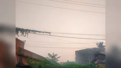 पूर्णिया में सुबह से ही दिखे गर्मी के तेवर, बादलों की आवाजाही के बीच उमस करेगी परेशान