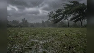 झारखंड में चार दिन में बढ़ेगा मॉनसून का दायरा, 16 जून को कई जिलों में तेज हवा-बारिश के आसार