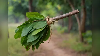 सखुआ की टहनी: संताल हूल की अनूठी संचार प्रणाली