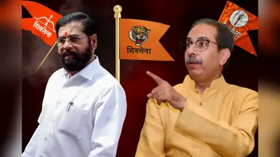 ऑपरेशन टाइगर… क्या फिर टूटेगी उद्धव की शिवसेना? 6 सांसदों पर शिंदे की नजर, बचाने उतरे संजय राउत