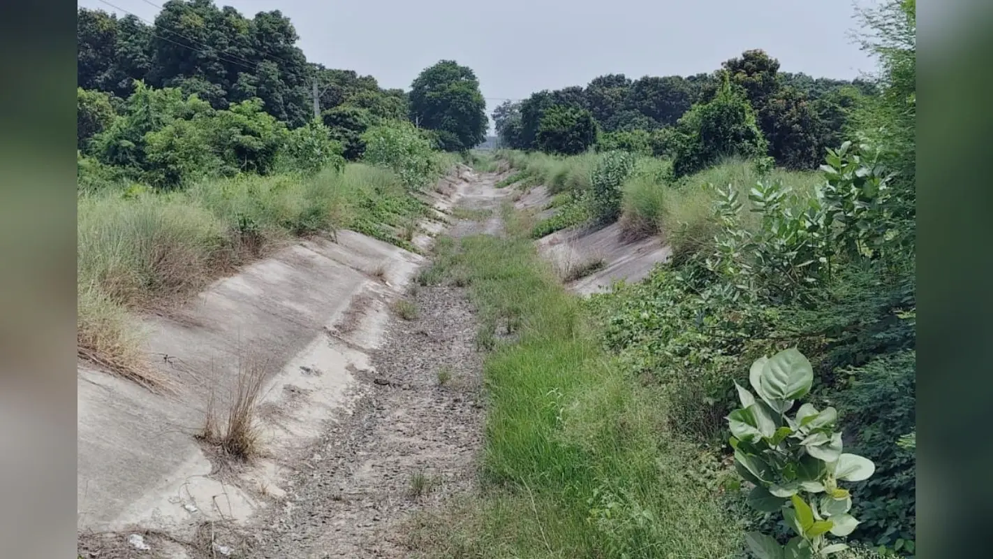 सीवान में मानसून की बेरुखी से किसान बेहाल, नहरें सूखी, नलकूप भी बंद, जानिए कब से शुरु होगी बारिश