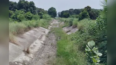 सीवान में मानसून की बेरुखी से किसान बेहाल, नहरें सूखी, नलकूप भी बंद, जानिए कब से शुरु होगी बारिश
