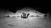 गोपालगंज के भोरे में सांप के काटने से युवती की मौत, शौच के लिए निकली थी घर से