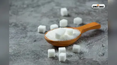 चीनी को कहें ‘बाय-बाय’, घर पर ट्राई करें ये 5 गिल्ट फ्री और नो शुगर रेसिपीज