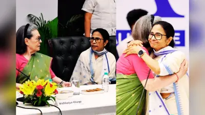 तृणमूल का कांग्रेस में होगा विलय! सोनिया गांधी से मिलीं ममता बनर्जी, अभिषेक से राहुल की हुई मुलाकात