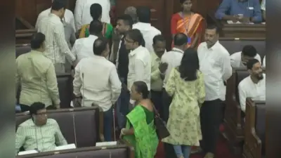 बंगाल के तलाबों में अब पलने लगी हिलसा मछली, अंतिम चरण में पहुंचा ‘माछेर राजा’ पर शोध