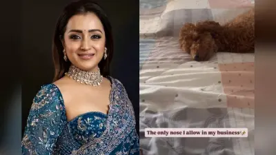 विजय संग रिश्ते की अफवाहों के बीच तृषा कृष्णन का क्रिप्टिक पोस्ट, ट्रोल्स को दिया जवाब?