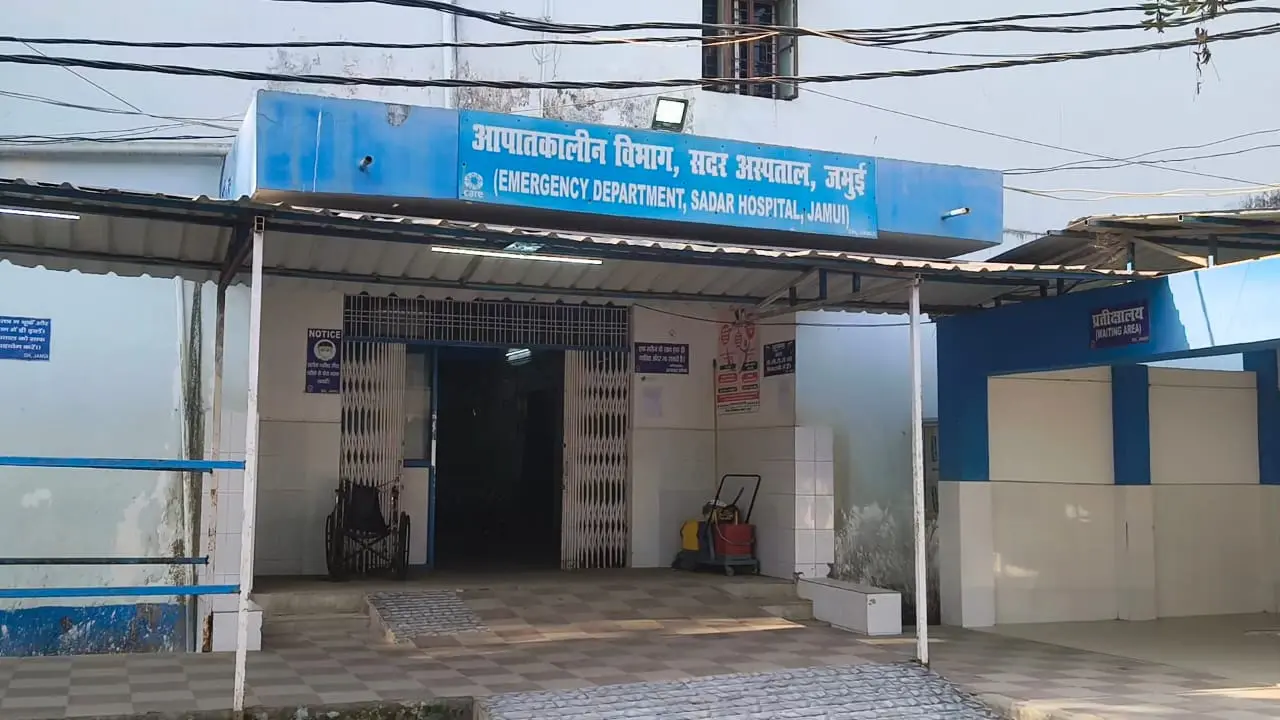 जमुई में एक ही परिवार के दो लोगों को सांप ने डसा, वृद्ध महिला की मौत