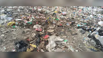निर्मली बाजार में कचरे का अंबार, राहगीरों और दुकानदारों की बढ़ी परेशानी