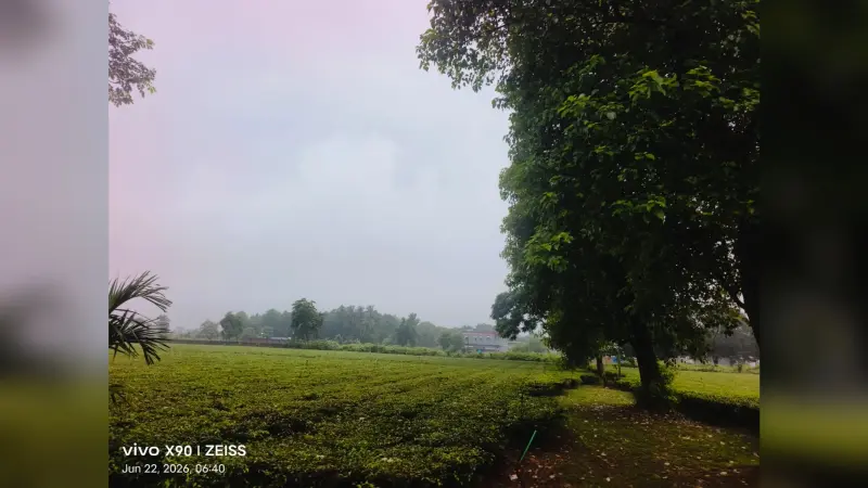 किशनगंज में 27 जून तक खराब रहेगा मौसम, भारी वर्षा का पूर्वानुमान