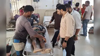 पानी भरे गड्ढे में पलटा ट्रैक्टर, एक मजदूर की मौत, दो गंभीर घायल