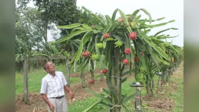 आपातकाल के समय लोकतंत्र के लिए जेल गए, बेटी को 11 महीने बाद देखा… अब पेंशन के लिए इंतजार