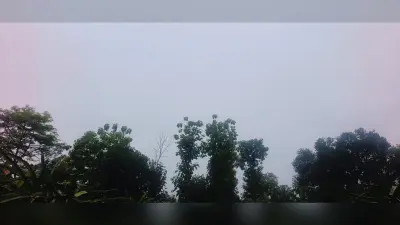 किशनगंज में पूरी तरह सक्रिय हुआ मानसून, झमाझम बारिश के आसार, किसानों के खिले चेहरे