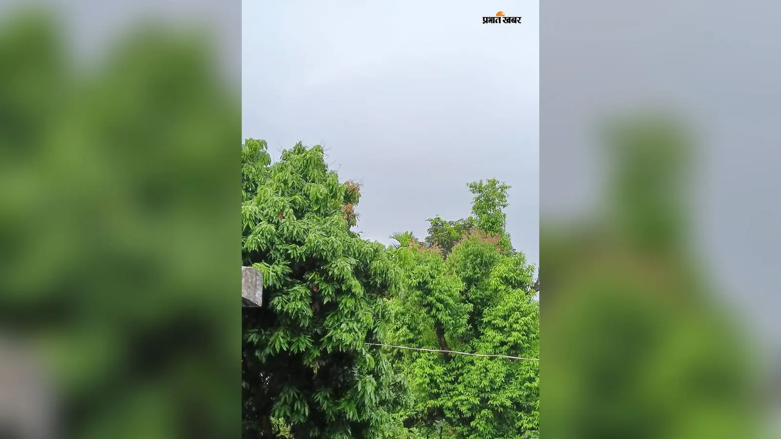 ठंडी फुहारों के साथ हुई पूर्णिया की सुबह, आज भी मौसम रहेगा सुहाना : कल से येलो अलर्ट