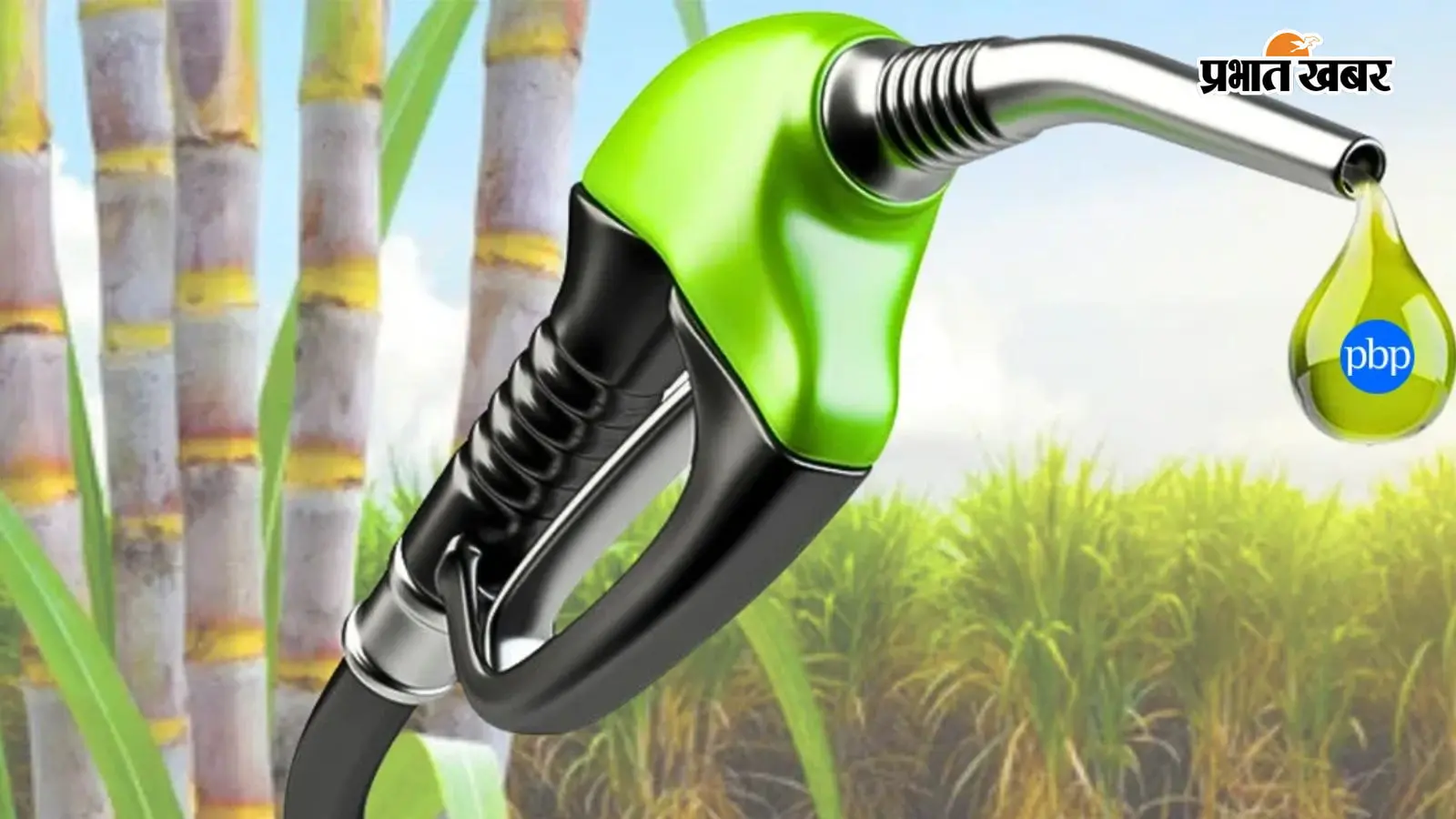 E25 Petrol Update : क्या अभी नहीं आएगा E25 पेट्रोल ! E20 पर विवाद के बीच सरकार की बैठक, सामने आई नई जानकारी