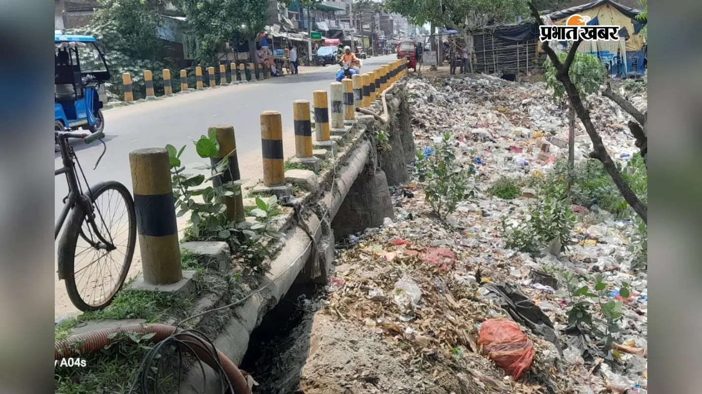 पंजवारा पुल के पास कचरे का अंबार, दुर्गंध से लोग परेशान, प्रशासन की अनदेखी से लोगों में नाराजगी