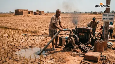 बारिश नहीं, डीजल के सहारे हो रही धान की खेती; 25 हजार लागत पर सिर्फ 5 हजार तक बचत