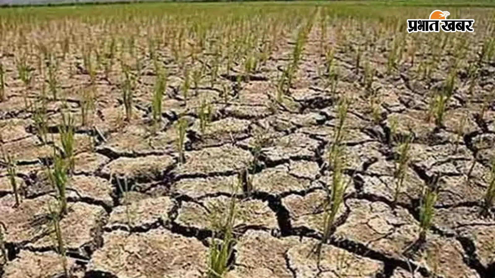 बक्सर में बदल गया मानसून का मिजाज, 2021 के बाद लगातार घट रही बारिश, खेती और भूजल पर गहराया संकट
