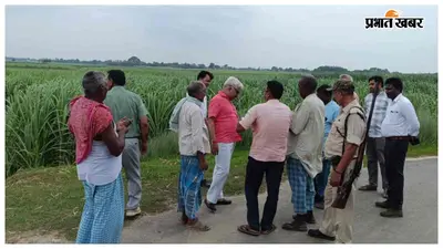नरकटियागंज चीनी मिल क्षेत्र में रिकॉर्ड खुटी गन्ना उत्पादन की उम्मीद, यूनिट हेड ने किया निरीक्षण