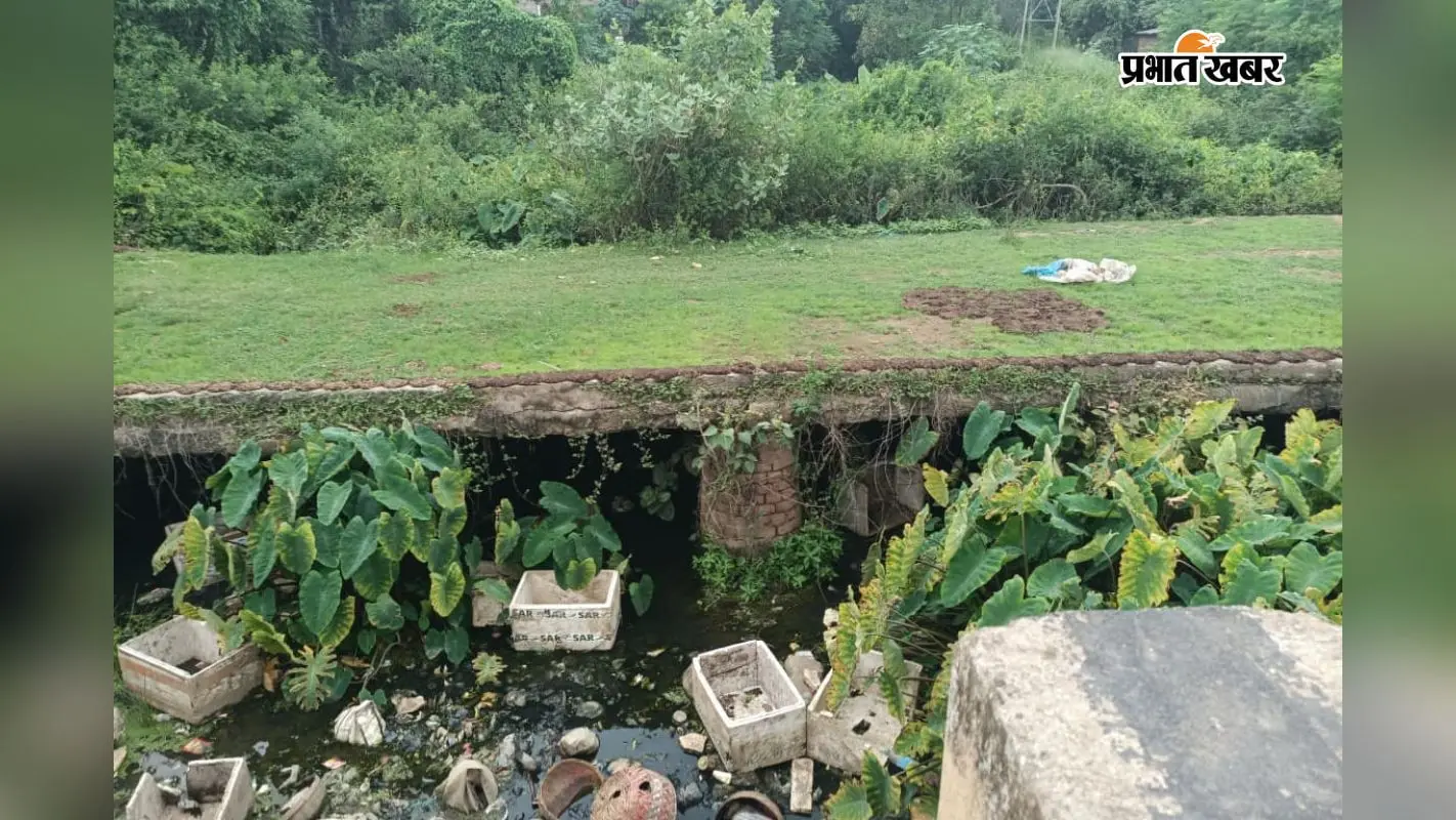 धौनी चौरा नदी बनी कचरा डंपिंग यार्ड, जहरीले पानी से सिंचाई करने को मजबूर तारापुर के किसान
