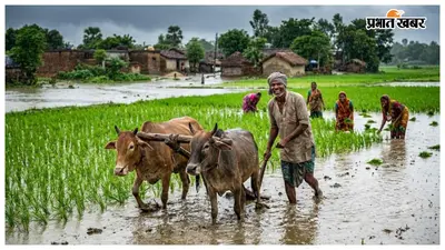 मधुबनी में सक्रिय हुआ मानसून, बारिश से किसानों के खिले चेहरे, कई इलाकों में भरा पानी