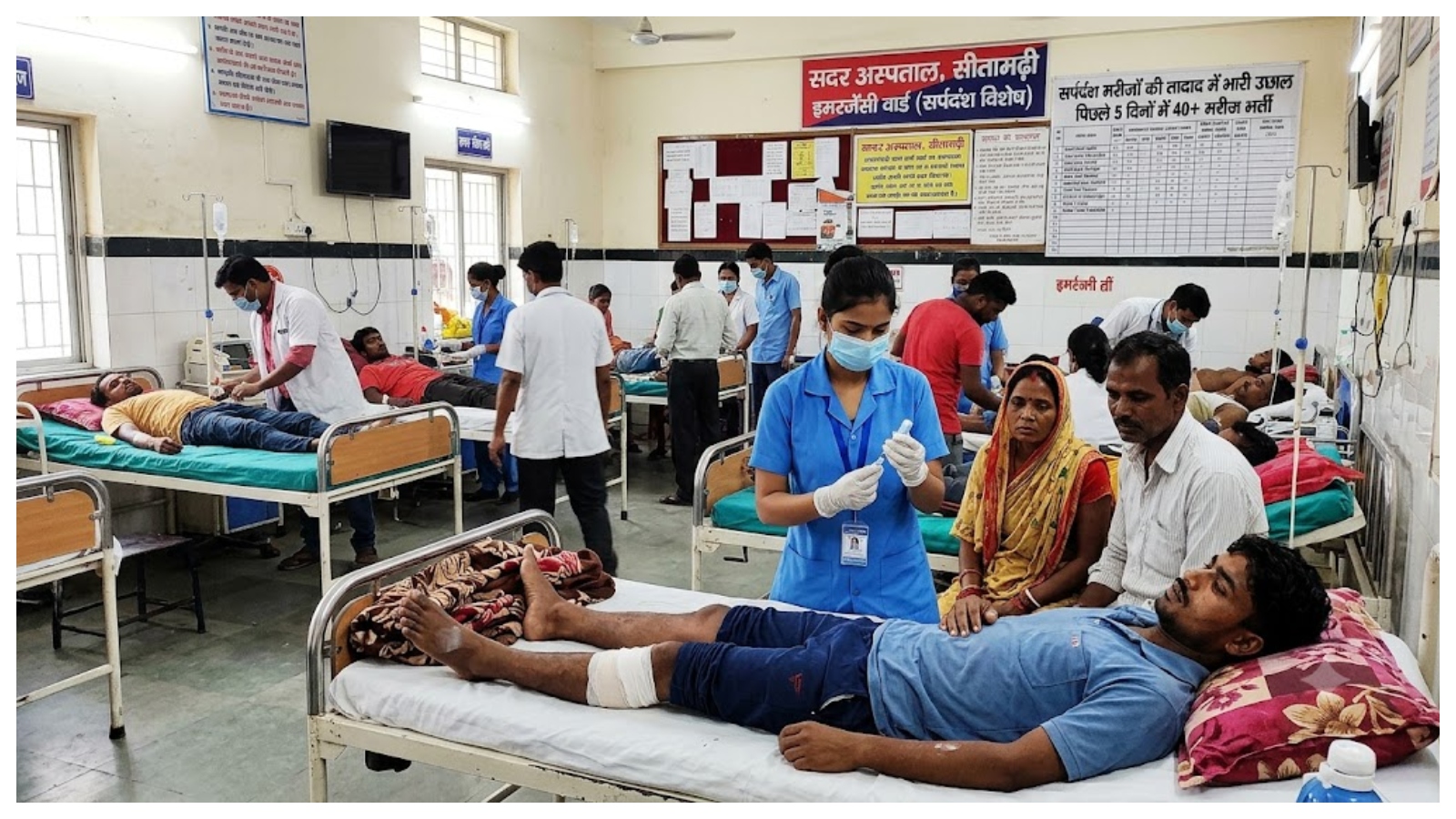 आखिर क्यों बरसात और गर्मी में बाहर निकलते हैं सांप