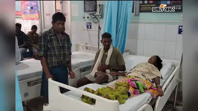गुमला में सांपों का तांडव: 24 घंटे में 5 लोगों को डंसा, घर और खेतों में बने शिकार