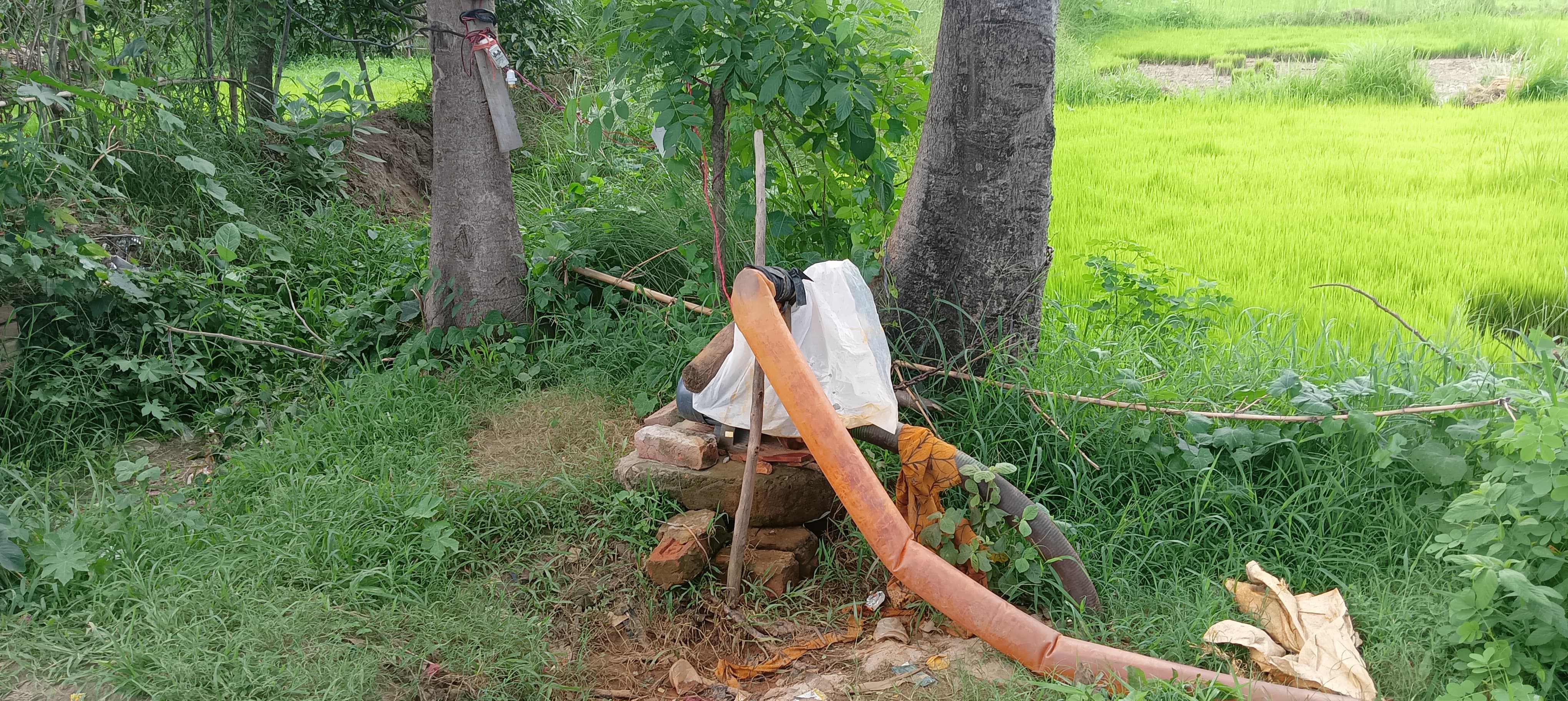 बीत गया आद्रा, नहीं बरसे बदरा, सूखे खेत और बारिश का इंतजार, आसमान ताक रहे किसान