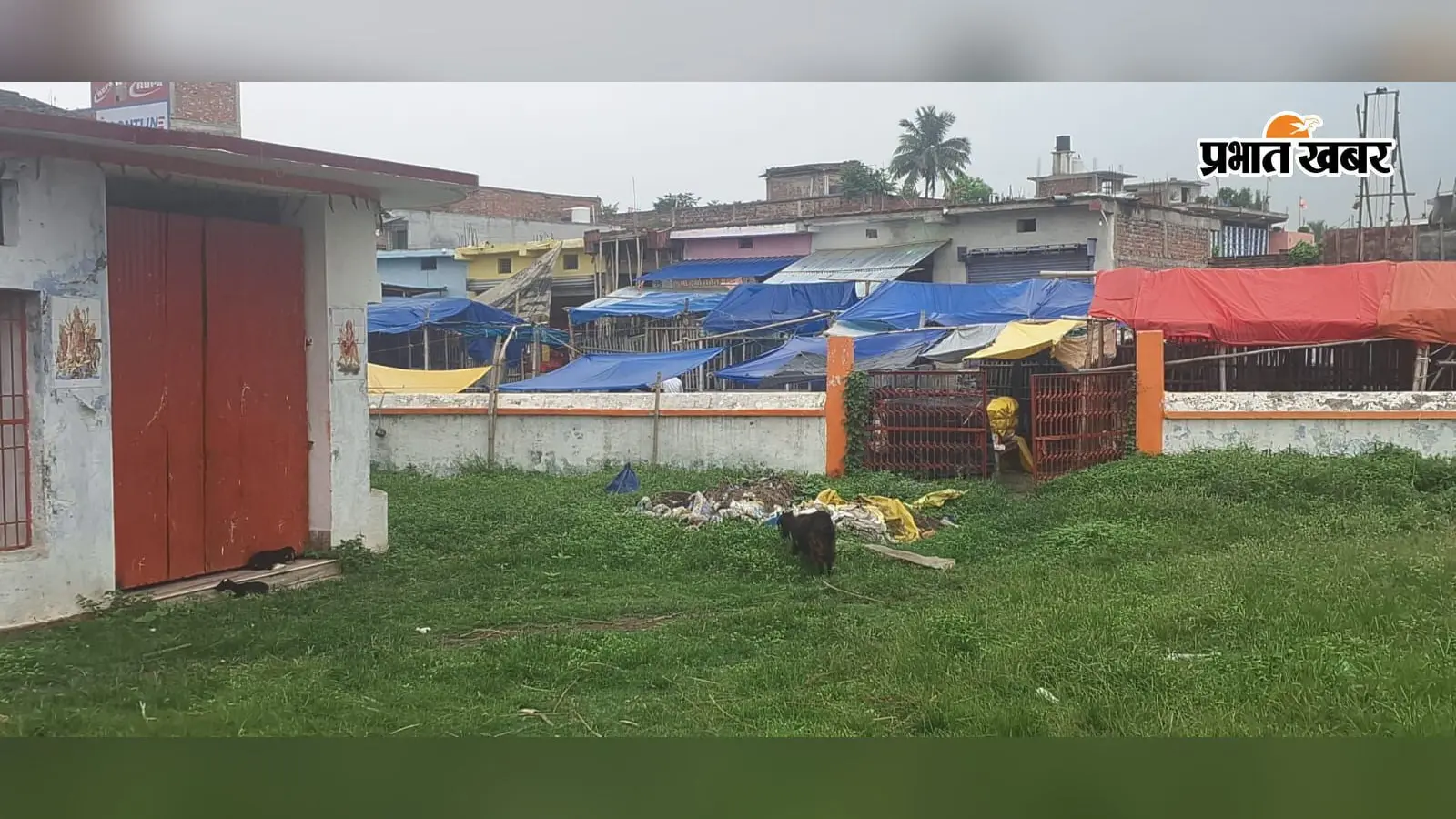 कुरसेला के नया हाट दुर्गा मंदिर परिसर में पसरी गंदगी, जंगली घास और कचरे से श्रद्धालु परेशान