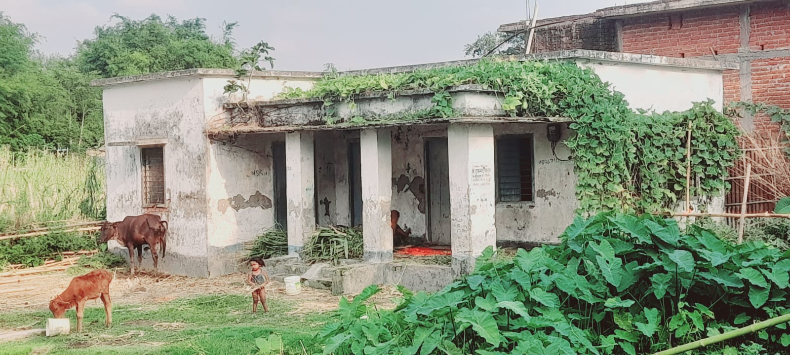 25 हजार आबादी का उप स्वास्थ्य केंद्र बदहाल, अधूरा भवन और टपकती छत से ठप हुई स्वास्थ्य सेवा