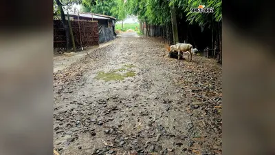 भुगतान अटकने से रुका पौआखाली–सीमलबाड़ी सड़क निर्माण, अधूरी सड़क से बढ़ी लोगों की परेशानी