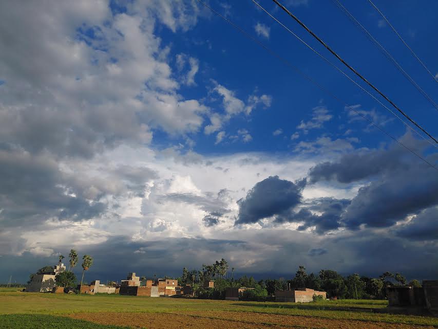 भागलपुर में झमाझम बारिश से किसानों के खिले चेहरे: धान की बुआई और रोपनी में जुटे अन्नदाता