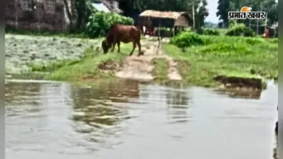 बाढ़ में टूटी सड़क से महादलित बस्ती का संपर्क टूटा, जान जोखिम में डालकर आवागमन को मजबूर ग्रामीण
