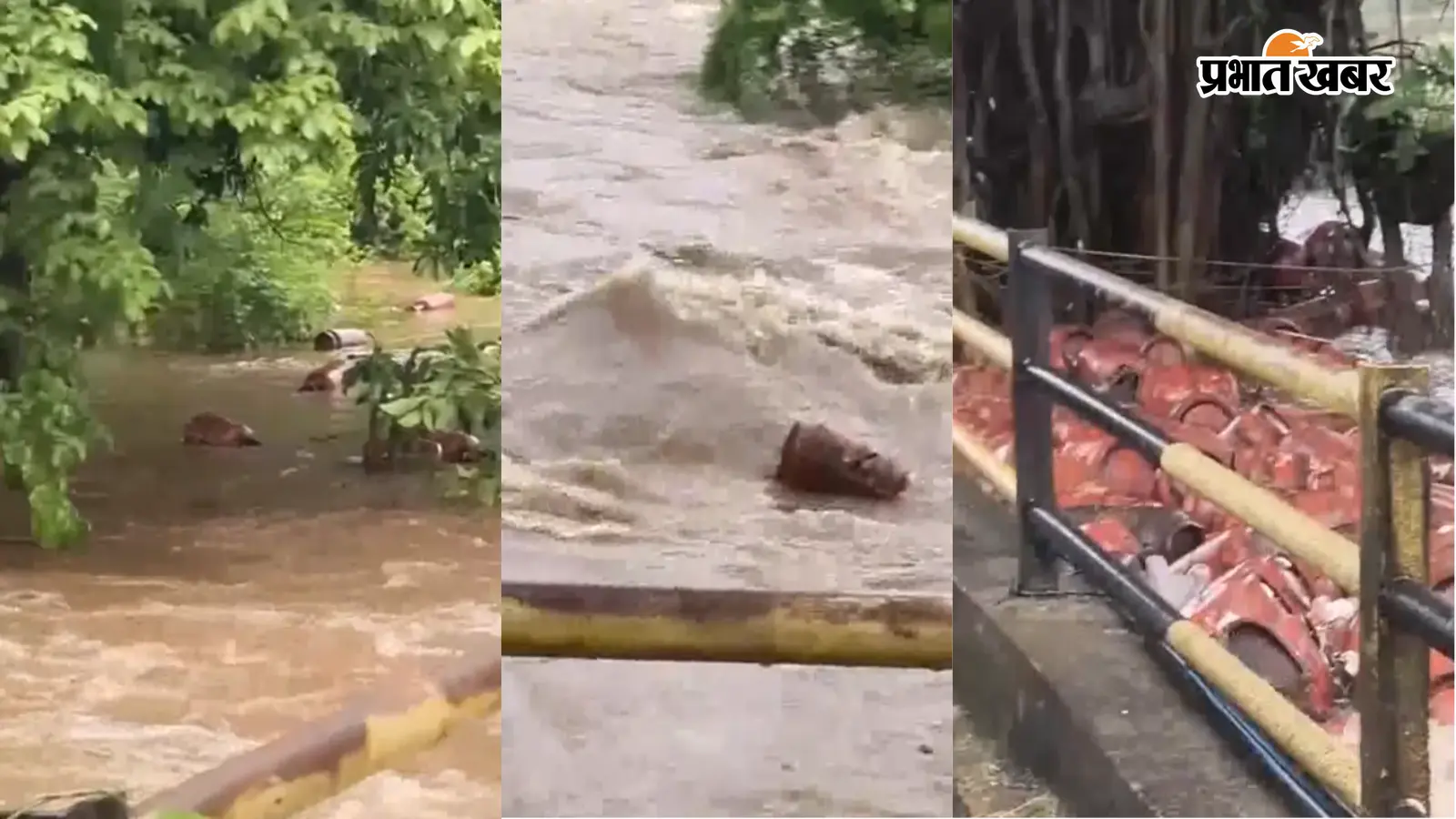 रायगढ़ की भारी बारिश में बह गए 3 हजार सिलेंडर, प्रशासन ने जारी की चेतावनी, वीडियो वायरल