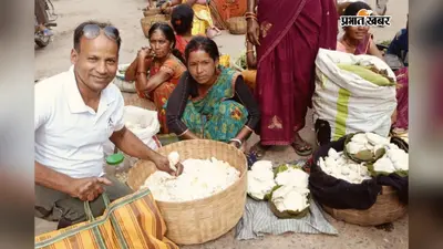 हजारीबाग के बड़कागांव बाजारों में छाया 'बरसाती मटन', आयुर्वेद डॉक्टर ने बताए इसके फायदे