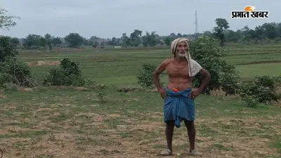 चतरा के कुंदा में 11 हजार वोल्ट बिजली तार की चपेट में आने से दुधारू भैंस की मौत, पशुपालक ने लगाया लापरवाही का आरोप