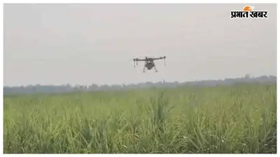यूरिया की कमी के बीच ड्रोन से नैनो उर्वरक का छिड़काव, फसल में लौटी हरियाली