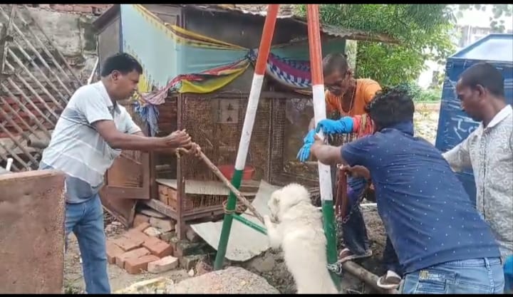 हरिबोल पार्क में पिंजरा टूटने से कुत्ते ने निगम के दो कर्मियों को काटा