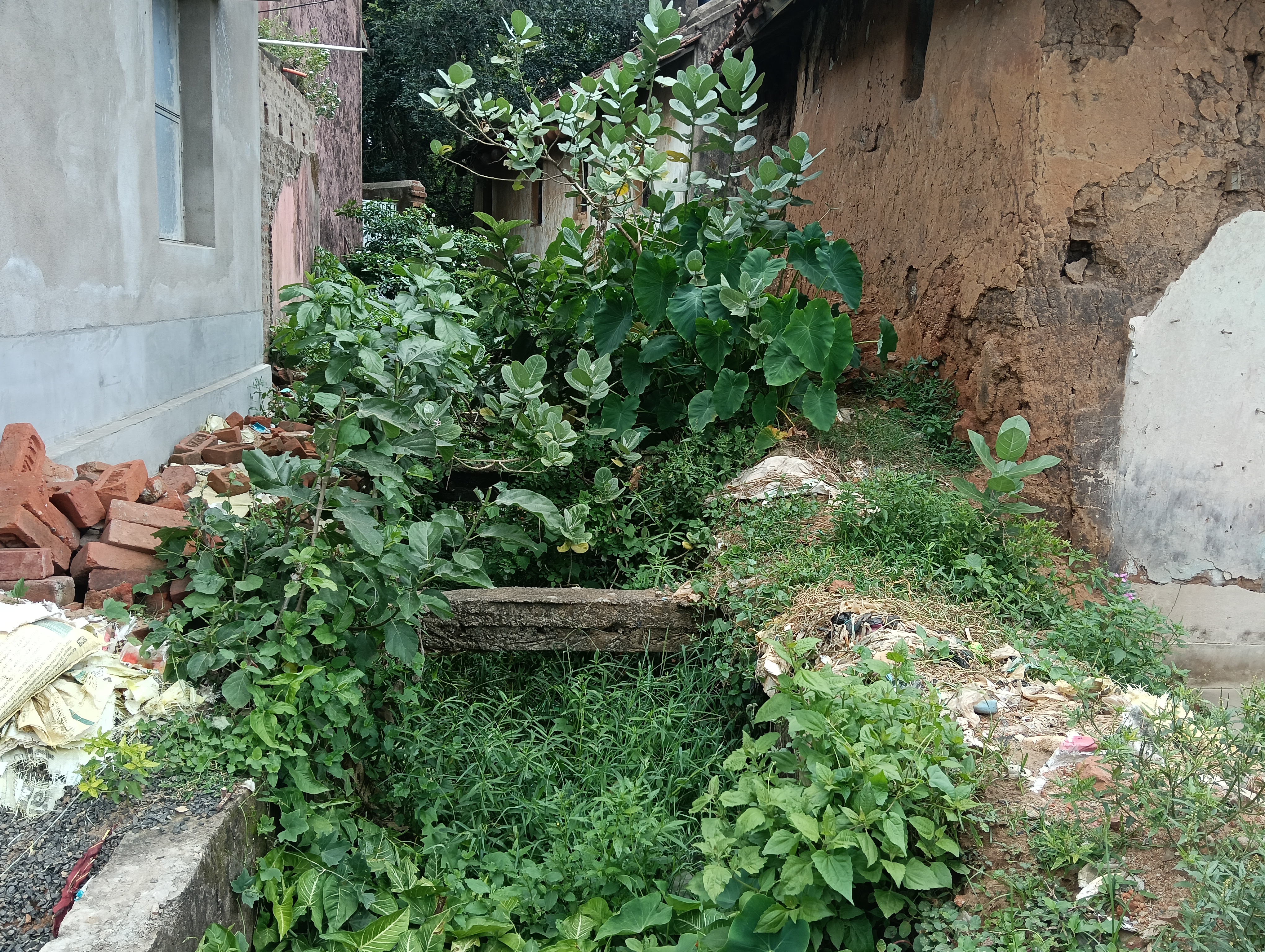 कचरे से जाम दिगलपहाड़ी मुख्य नहर की होगी सफाई, विभाग ने मांगा आवंटन