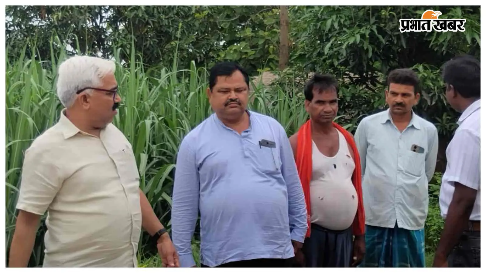 बिहार में पहली बार मानसून प्लाटिंग से होगी गन्ने की खेती, नरकटियागंज चीनी मिल की पहल