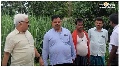बिहार में पहली बार मानसून प्लाटिंग से होगी गन्ने की खेती, नरकटियागंज चीनी मिल की पहल